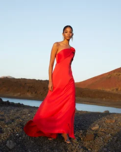 Vestido Rosae